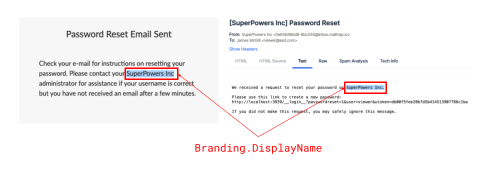 Example of Branding Customization in the Password Reset Request Workflow, showing display name usage.