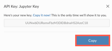 The Copy button is located under the API key