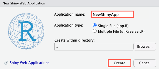 Screen capture of New Shiny Web Application window