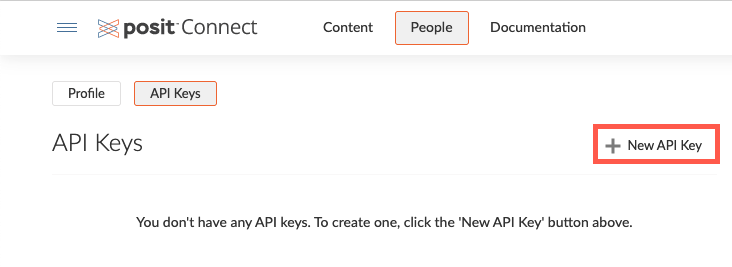 The NEW API Key button is located on the right side of the page
