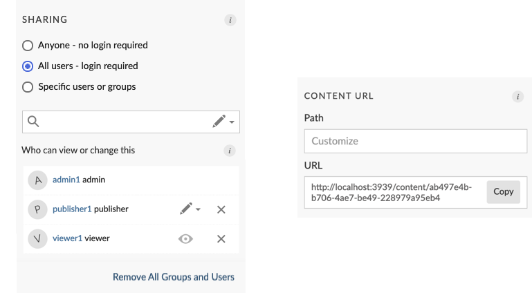 Access Settings panel, showing visibility and collaboration options,
content execution user choice, and custom URL.