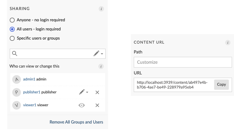 Access Settings panel, showing visibility and collaboration options, content execution user choice, and custom URL.