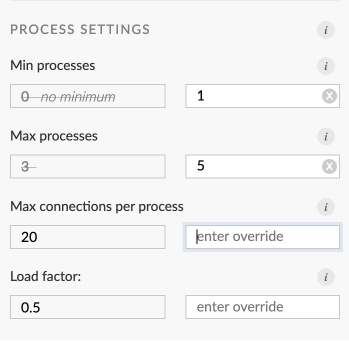 Runtime settings panel process options.