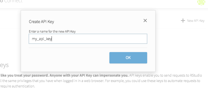 Dialog titled "Create API Key" with the name "my_api_key" entered.