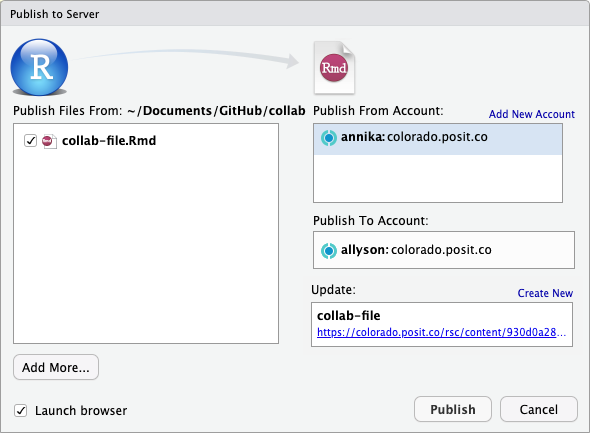 RStudio IDE showing collaborative publishing.