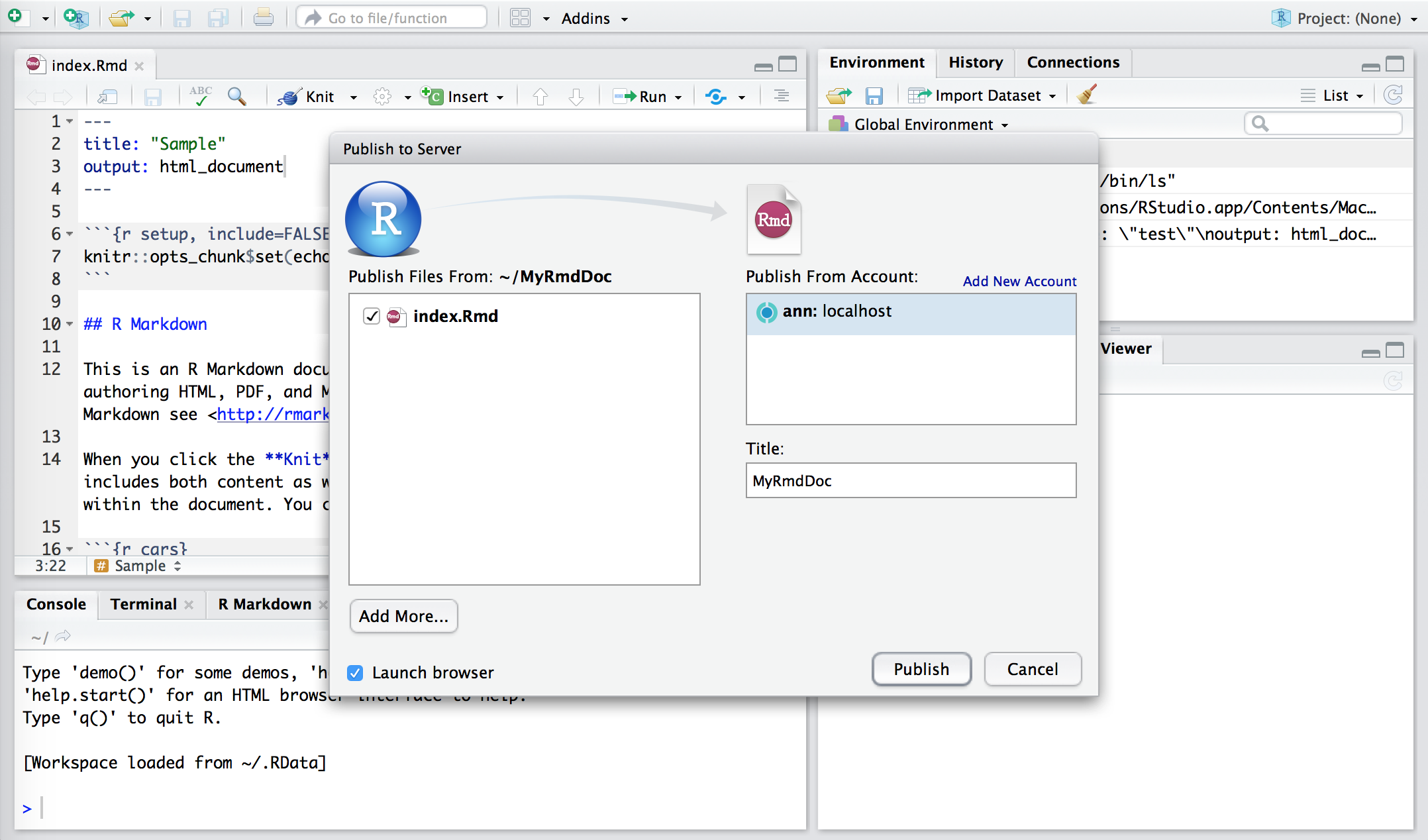 RStudio publishing dialog.