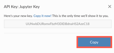 The Copy button is located under the API Key