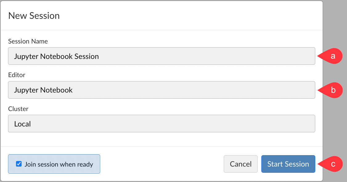 A screenshot of the New Session dialog on the Workbench homepage, configured to launch a new Jupyter Notebook session locally.