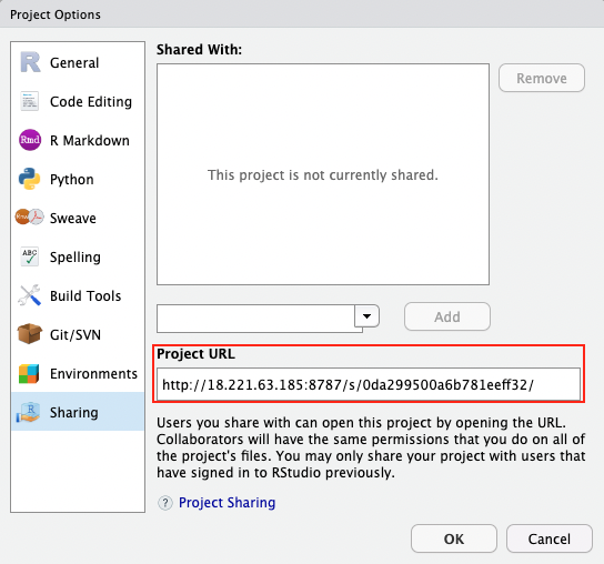 Project URL location in the project options menu of RStudio Pro