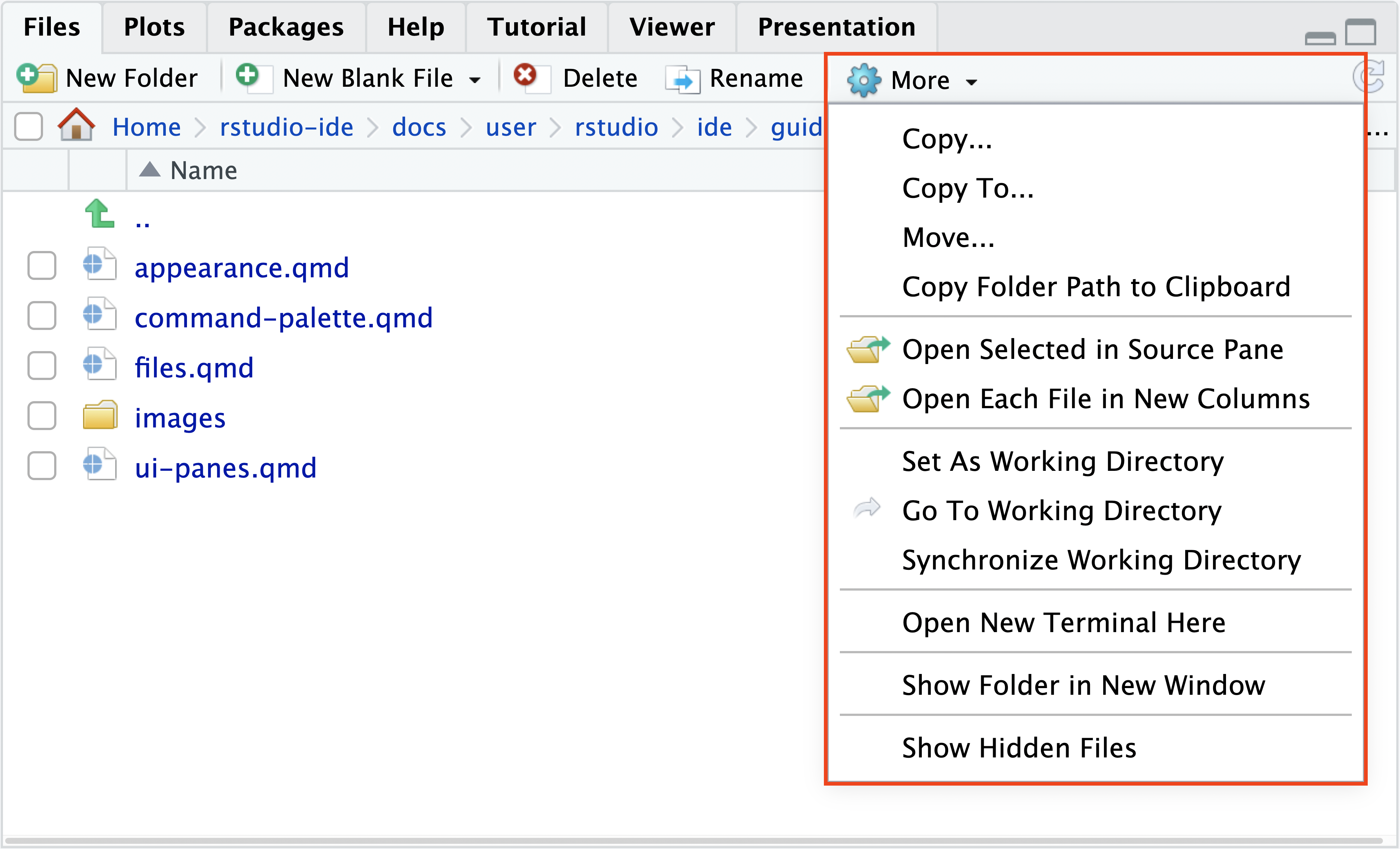 A screenshot of the Files tab in RStudio, with the More drop-down opened to display the possible options as expanded on above.