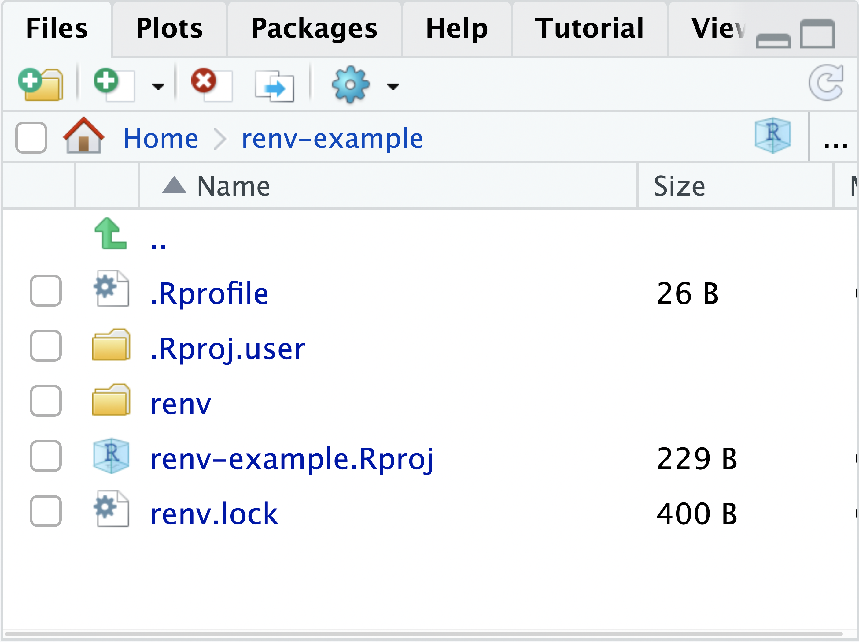 The Files pane in RStudio, displaying the newly created project with a 'renv' folder, a renv.lock file, and a .Rprofile.