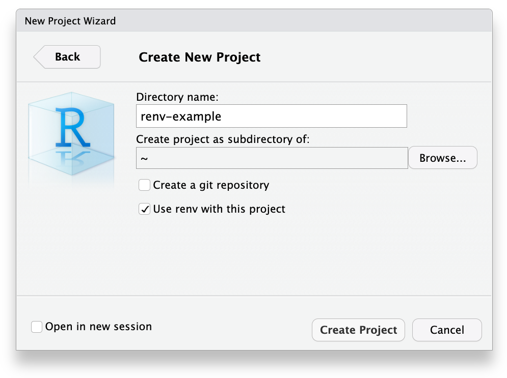 The New Project wizard in RStudio, with the 'use renv with this project' option selected.