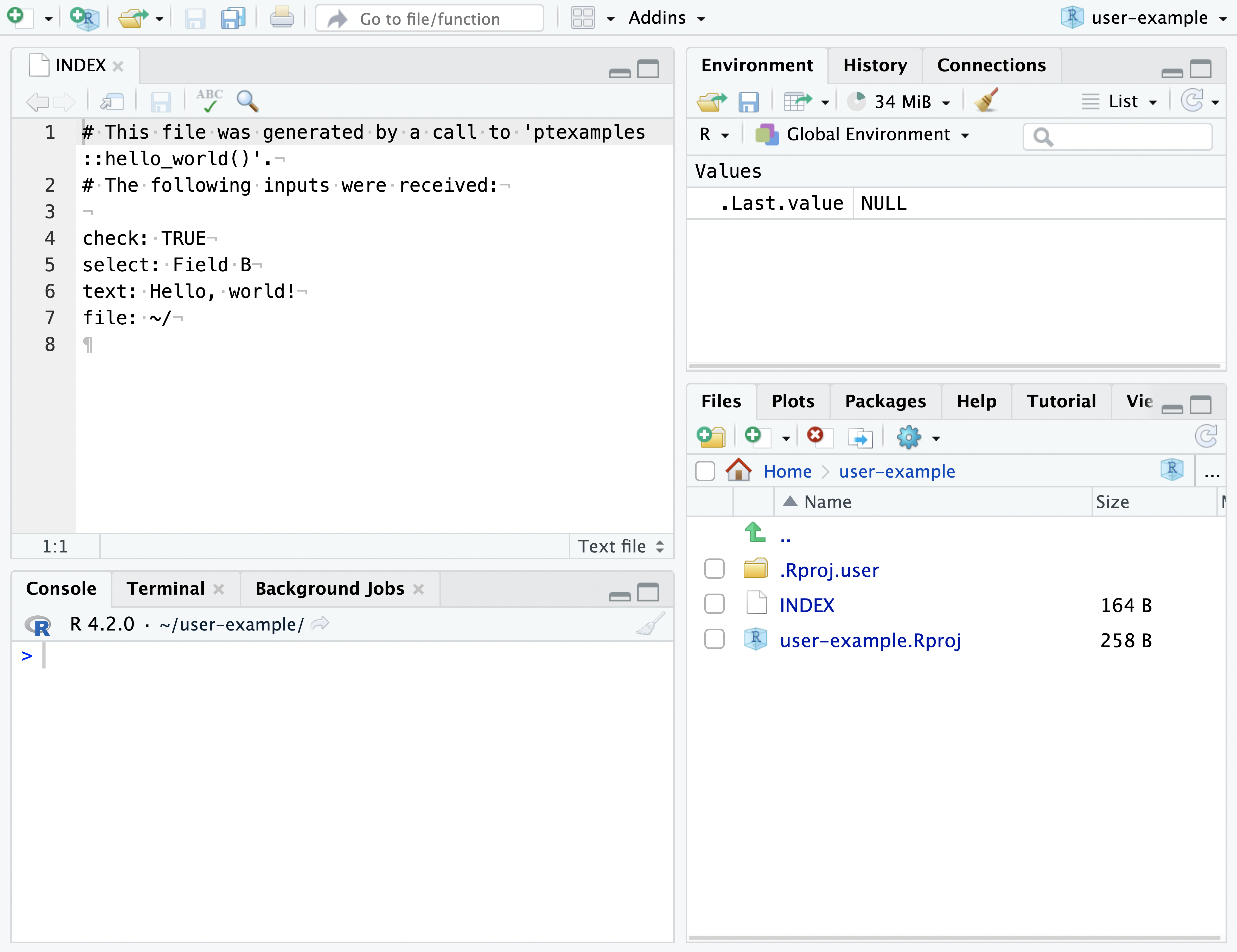 A screenshot of the newly created ptexamples RStudio project displaying the index with the user inputs.
