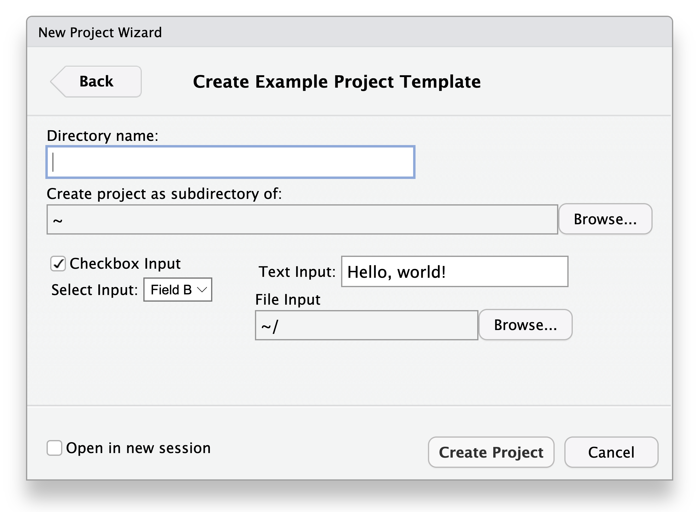 A screenshot of the Create Example Project Template wizard with a directory name and other user input options.