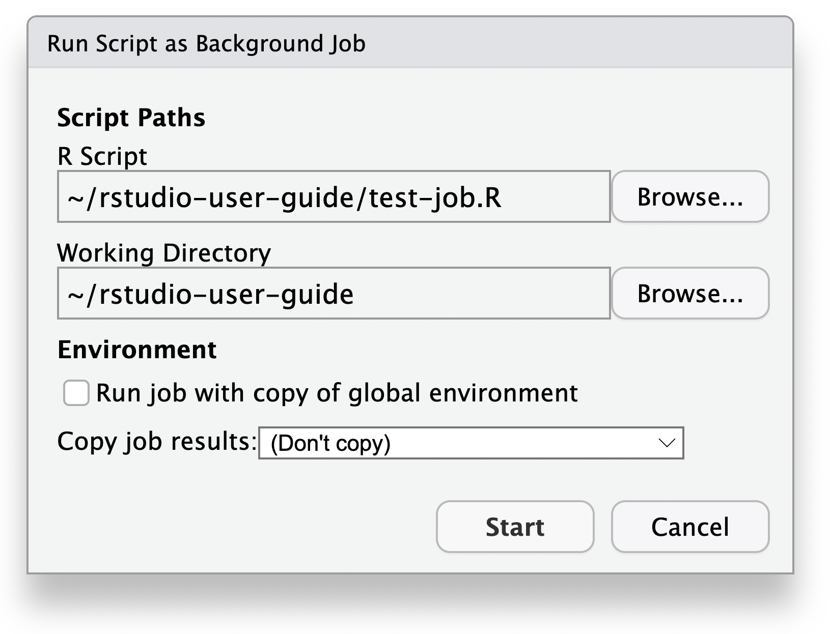 Dialog showing options for starting R script job