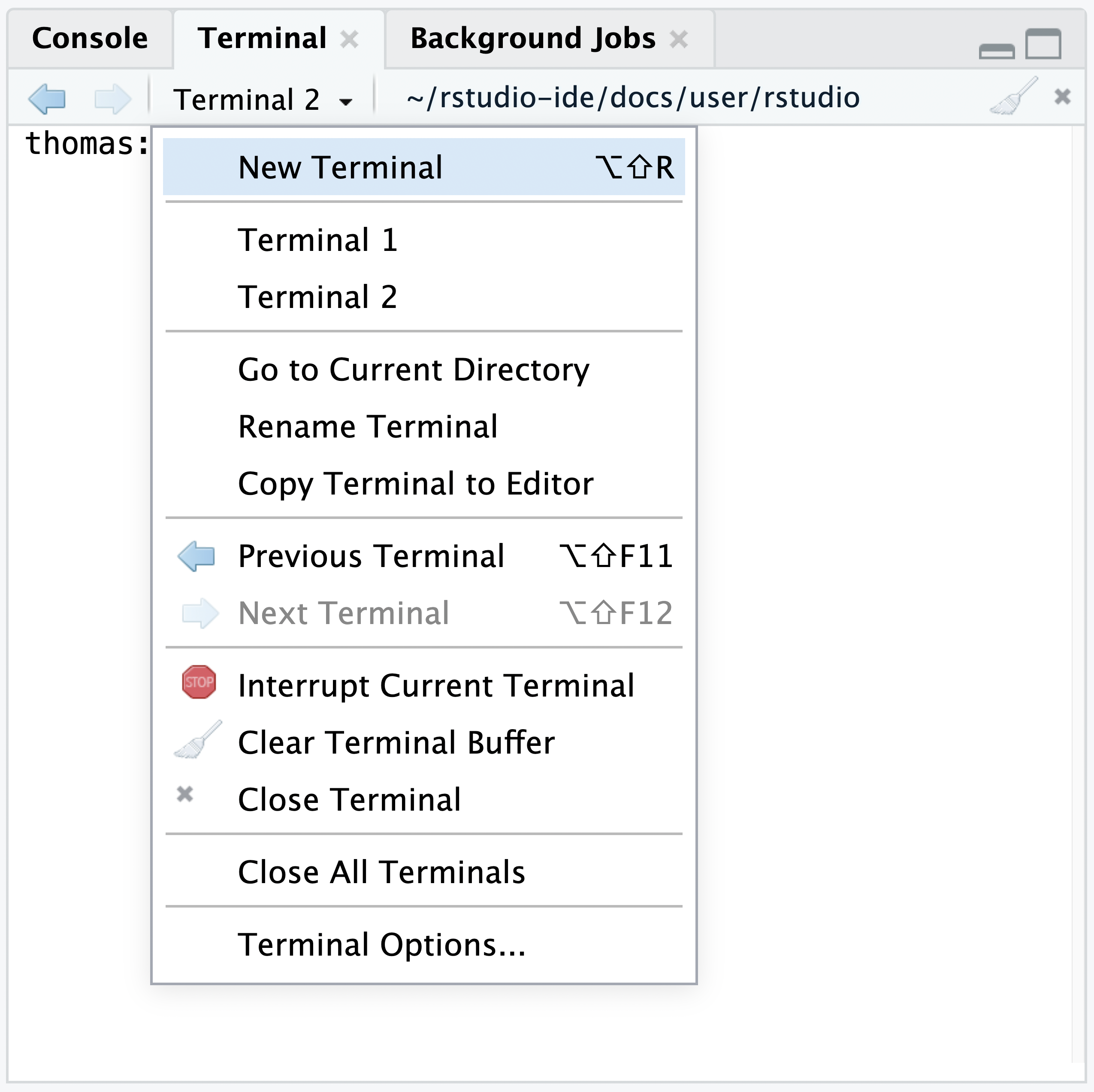 screenshot showing terminal menu opened