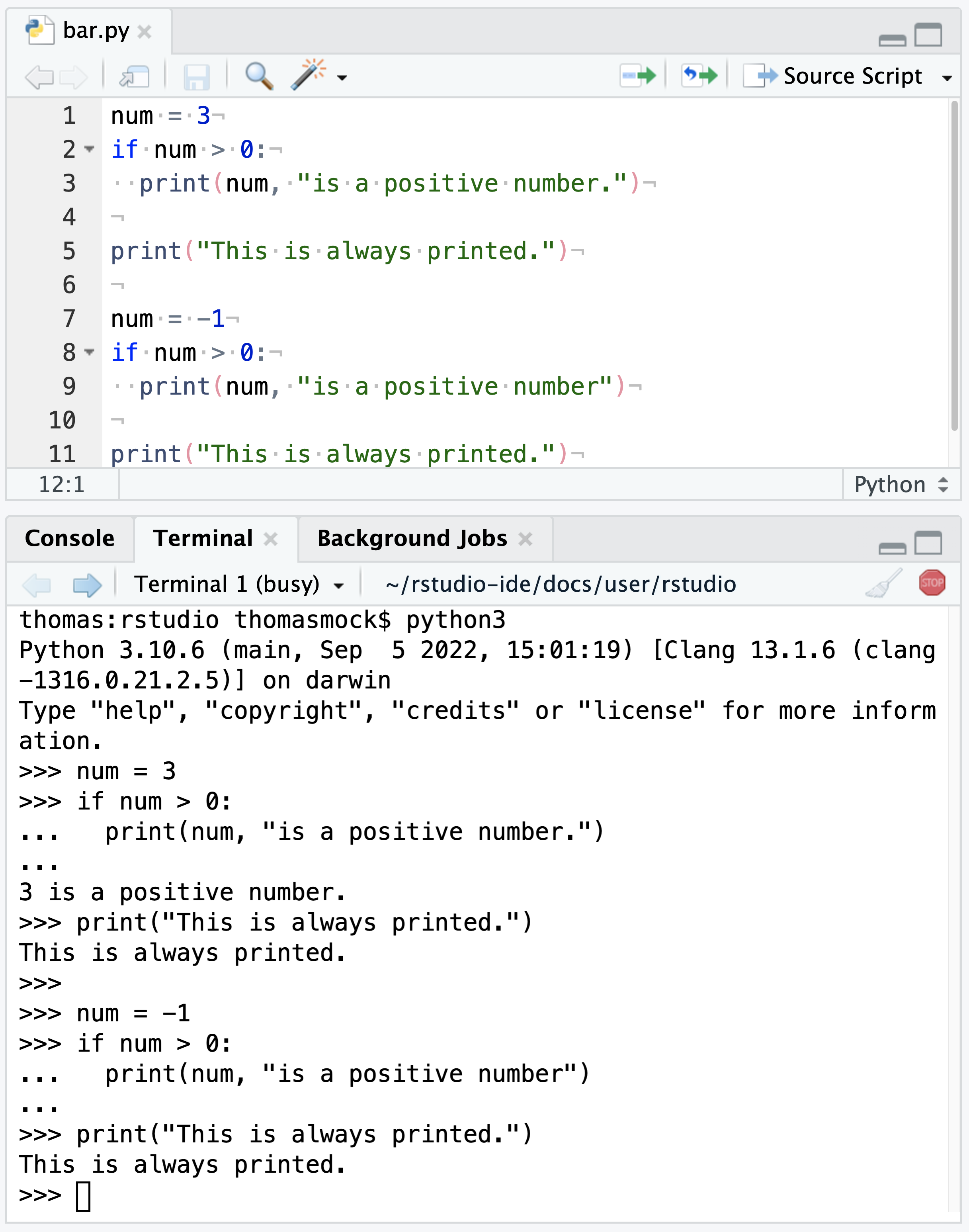 screenshot of a simple Python REPL example
