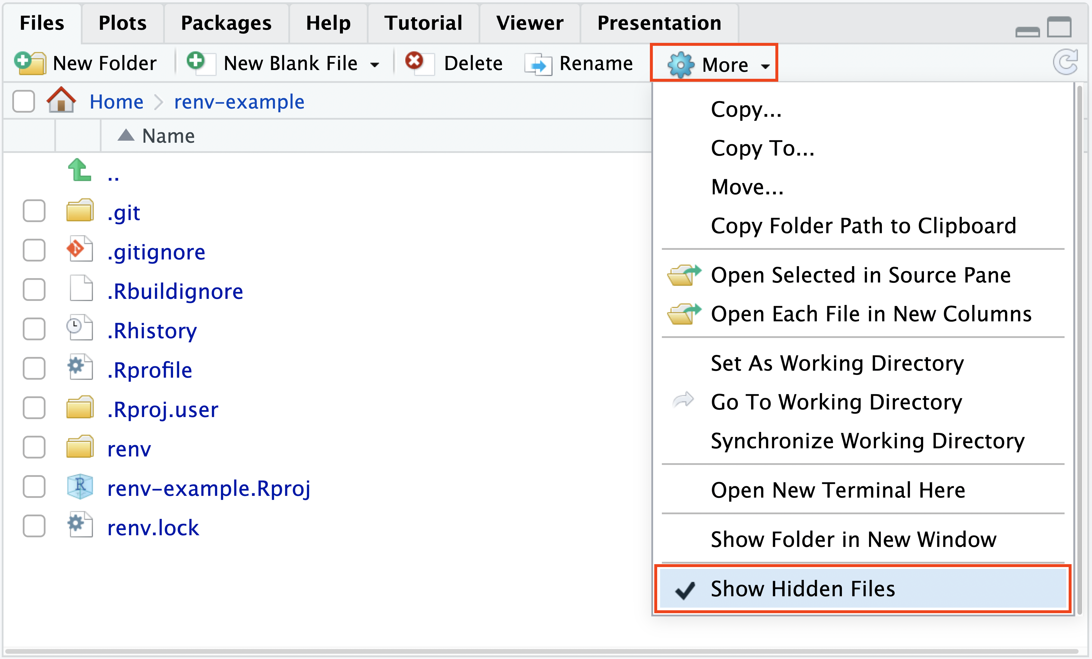 The Files pane, showing the More drop-down and the Show Hidden Files check. A number of dot files such as .gitignore and folders such as .git, .Rproj.user, etc are displayed now.