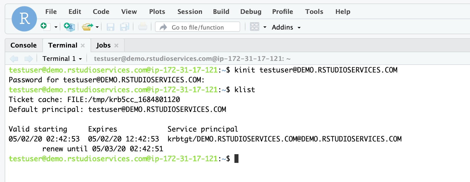 Example of kinit command running in RStudio Workbench Terminal