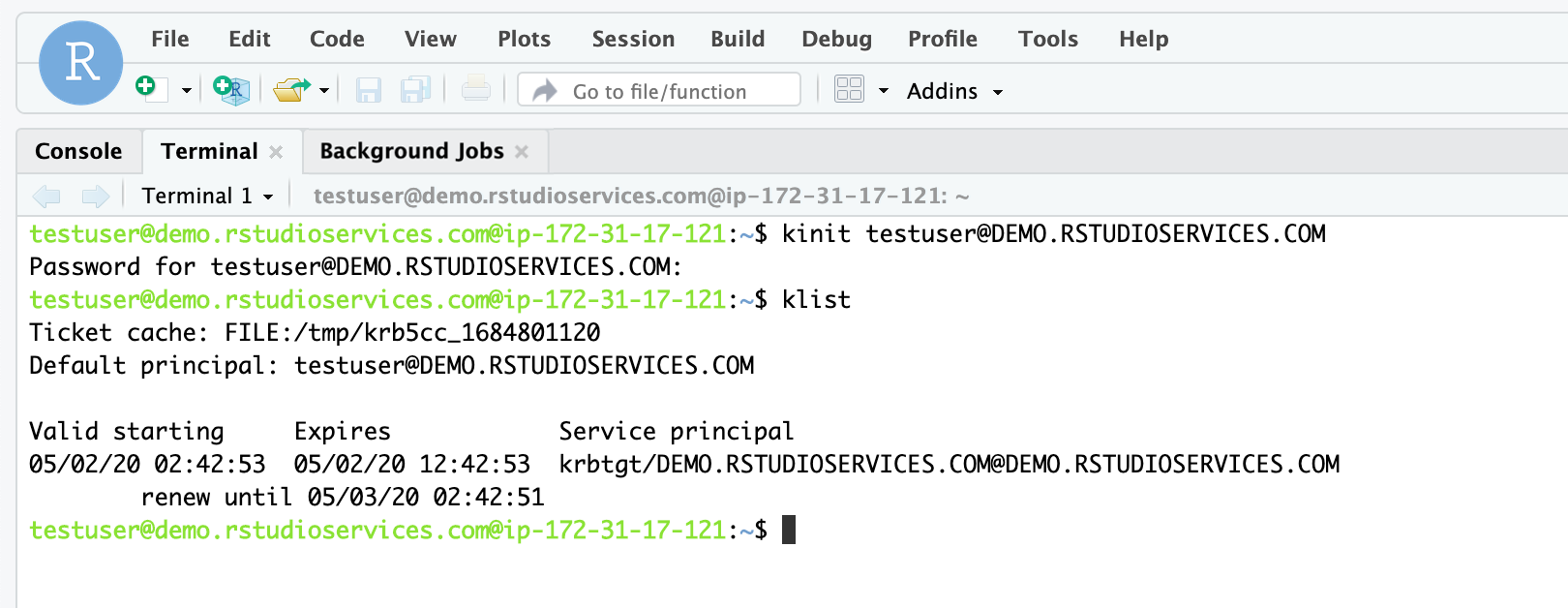 Example of kinit command running in Workbench Terminal