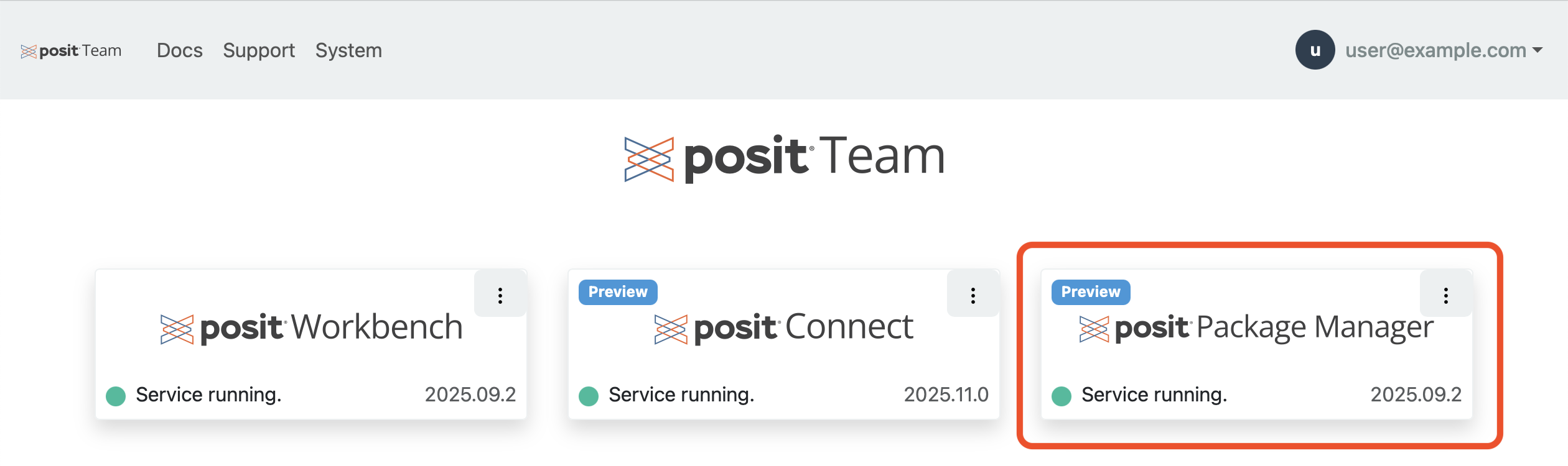 Package Manager running