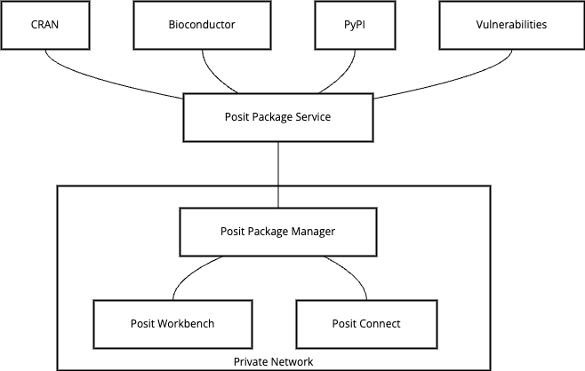 Posit Package Service